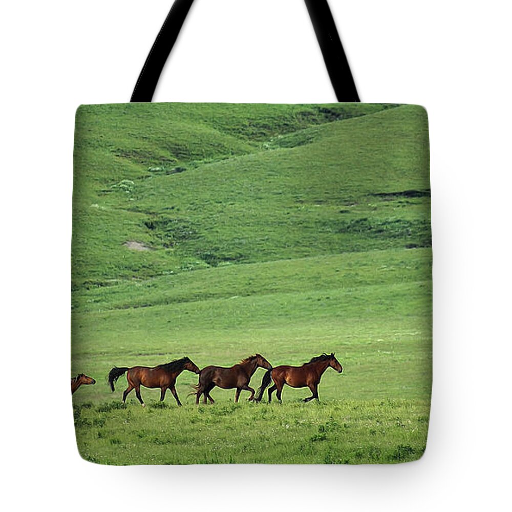 Horse Tote Bag featuring the photograph Mustangs of the Flint Hills by E B Schmidt