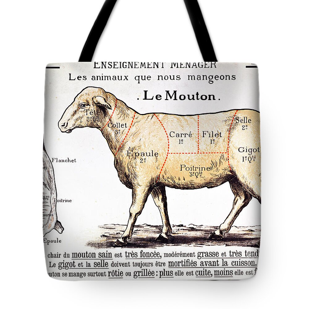 Le Mouton; Lamb; Sheep; Joint; Cut; Meat; Food; Animal; Mutton; Butchering Tote Bag featuring the drawing Mutton by French School
