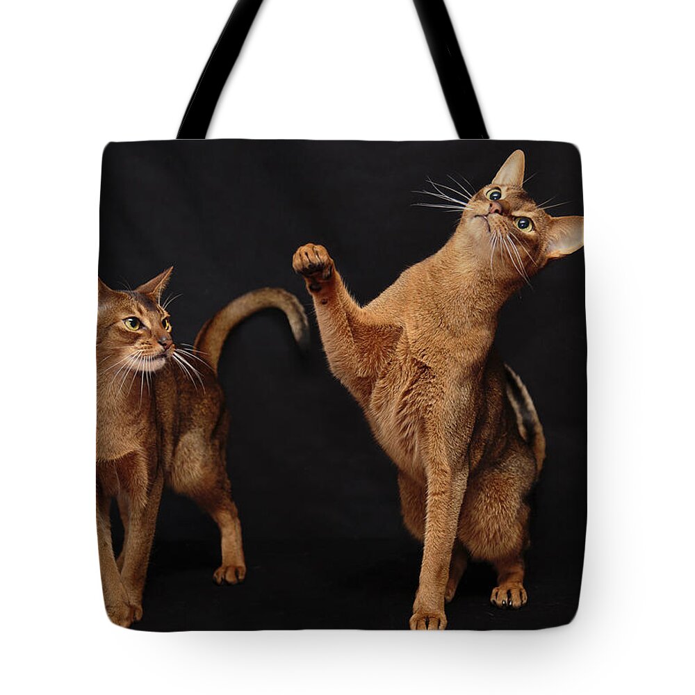 Sorel Tote Bag featuring the photograph My Abys by Gary Hall