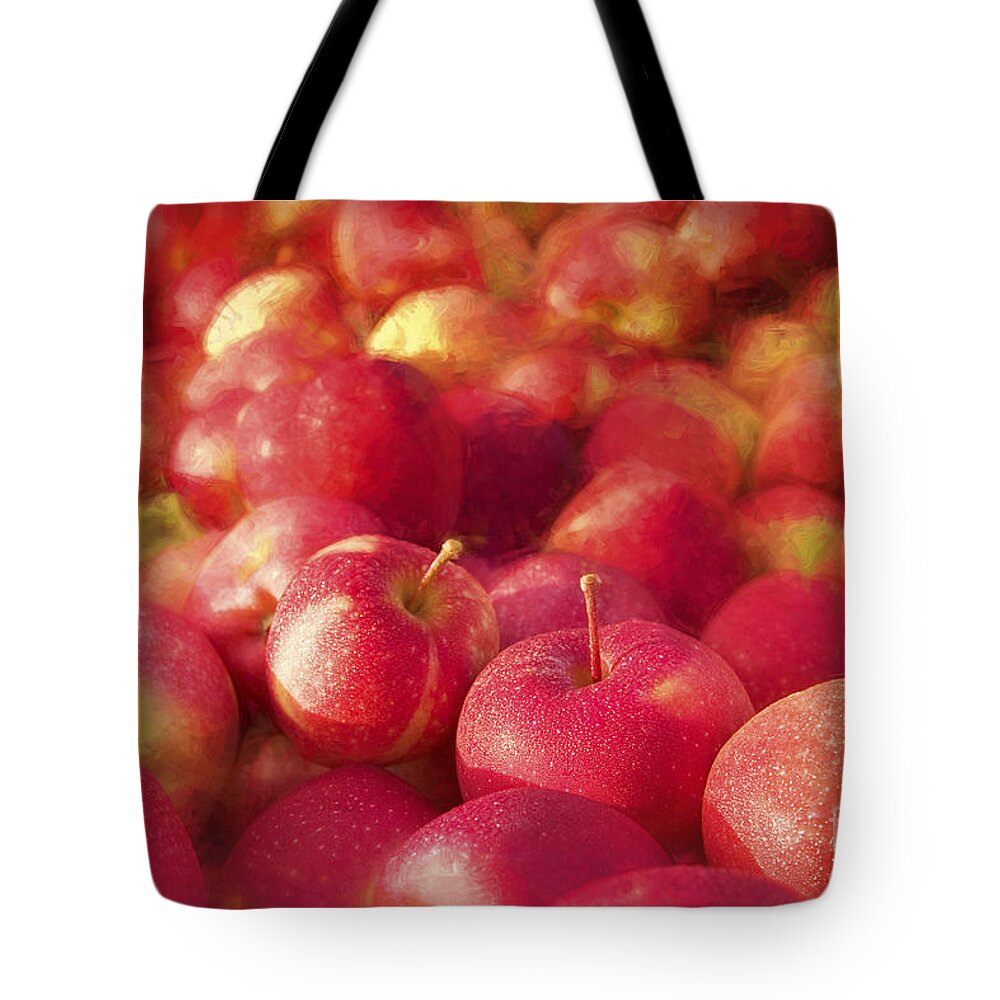 Apple Tote Bag featuring the photograph My Apple Harvest by George Robinson
