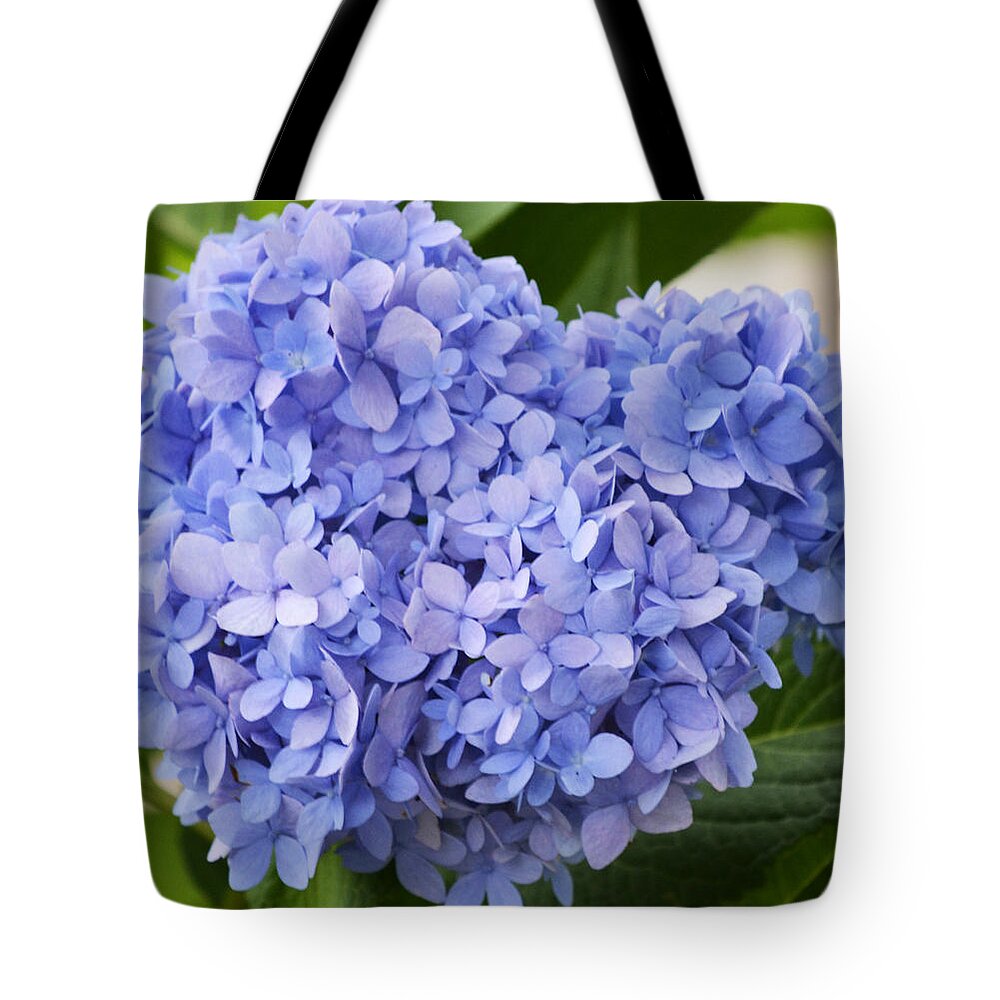 Hydrangea Tote Bag featuring the photograph My Blue Heart by Melanie Moraga
