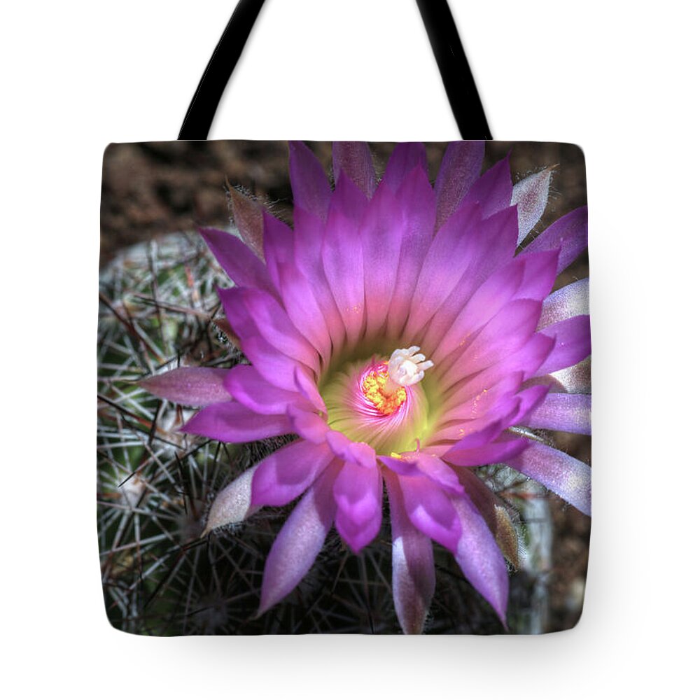 Beehive Tote Bag featuring the photograph My Desert Find by Donna Kennedy