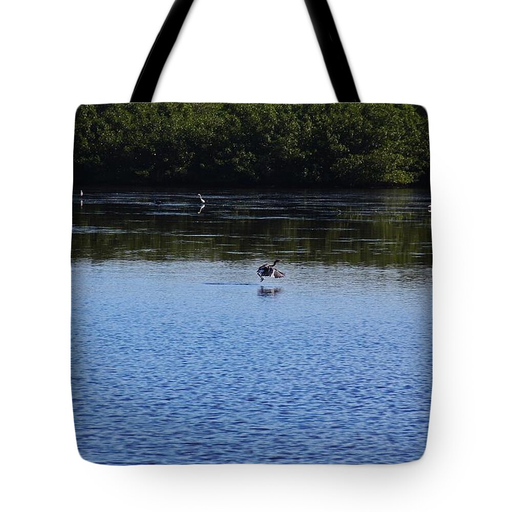 Ding Darling Tote Bag featuring the photograph My Destination by Michiale Schneider