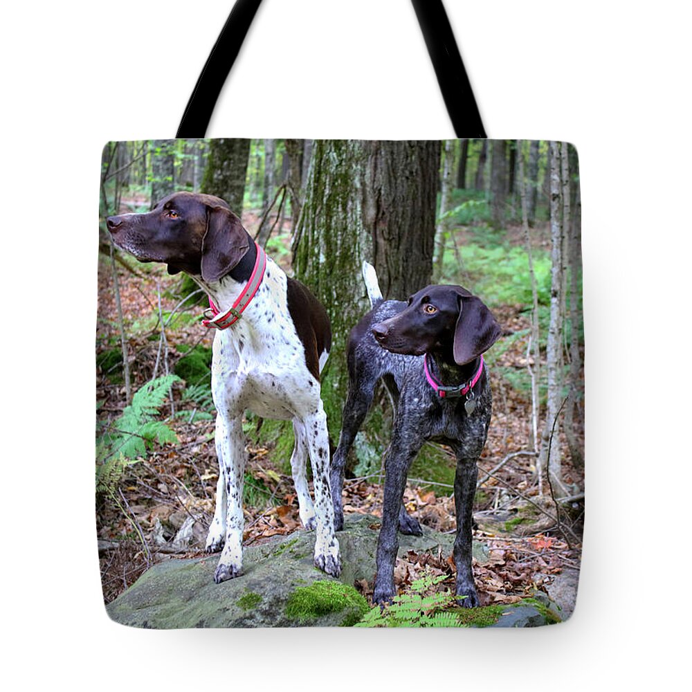  Tote Bag featuring the photograph My Girls by Brook Burling