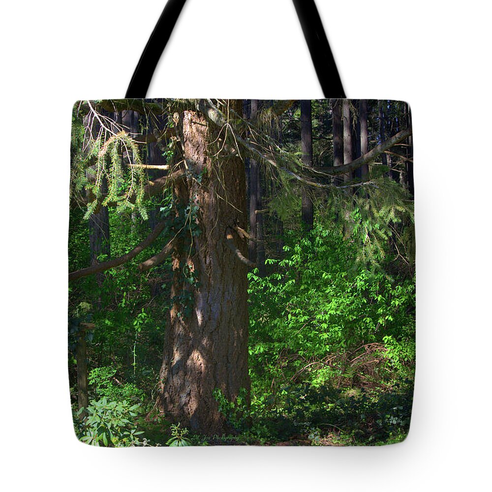 Wood Tote Bag featuring the photograph My Heart, My Woods by Jeanette C Landstrom