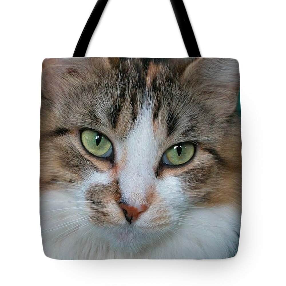 Kitty Tote Bag featuring the photograph My Kitty by Cathy Kovarik