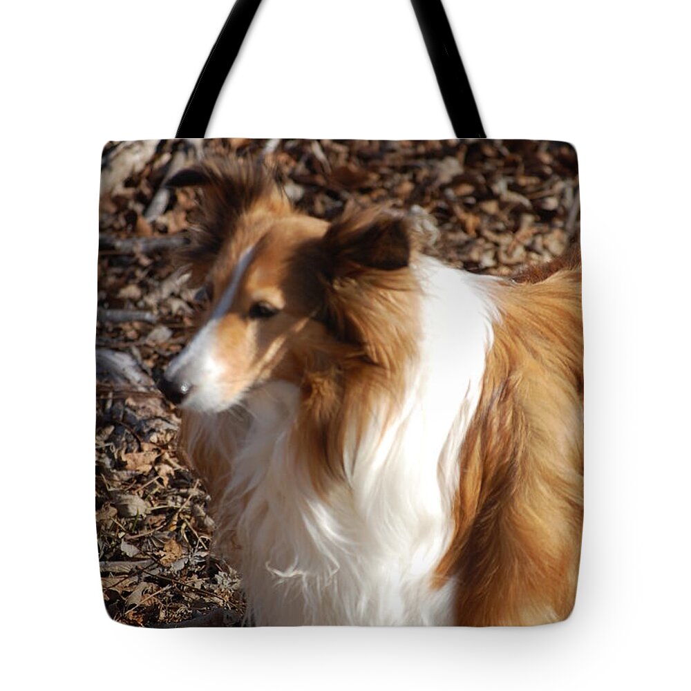 Dog Tote Bag featuring the digital art My new best friend by David Lane