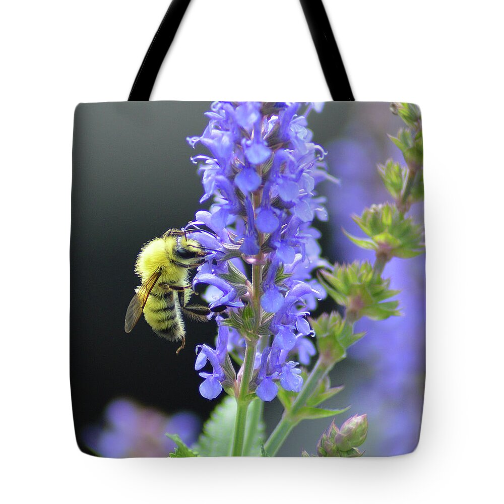 Honey Bee Tote Bag featuring the photograph My Precious by Kathy Kelly