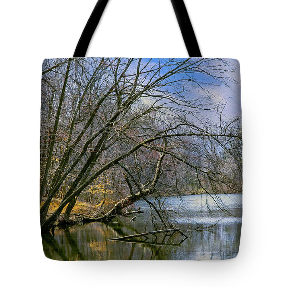 Pond Tote Bag featuring the photograph My Quiet Place by John Rivera