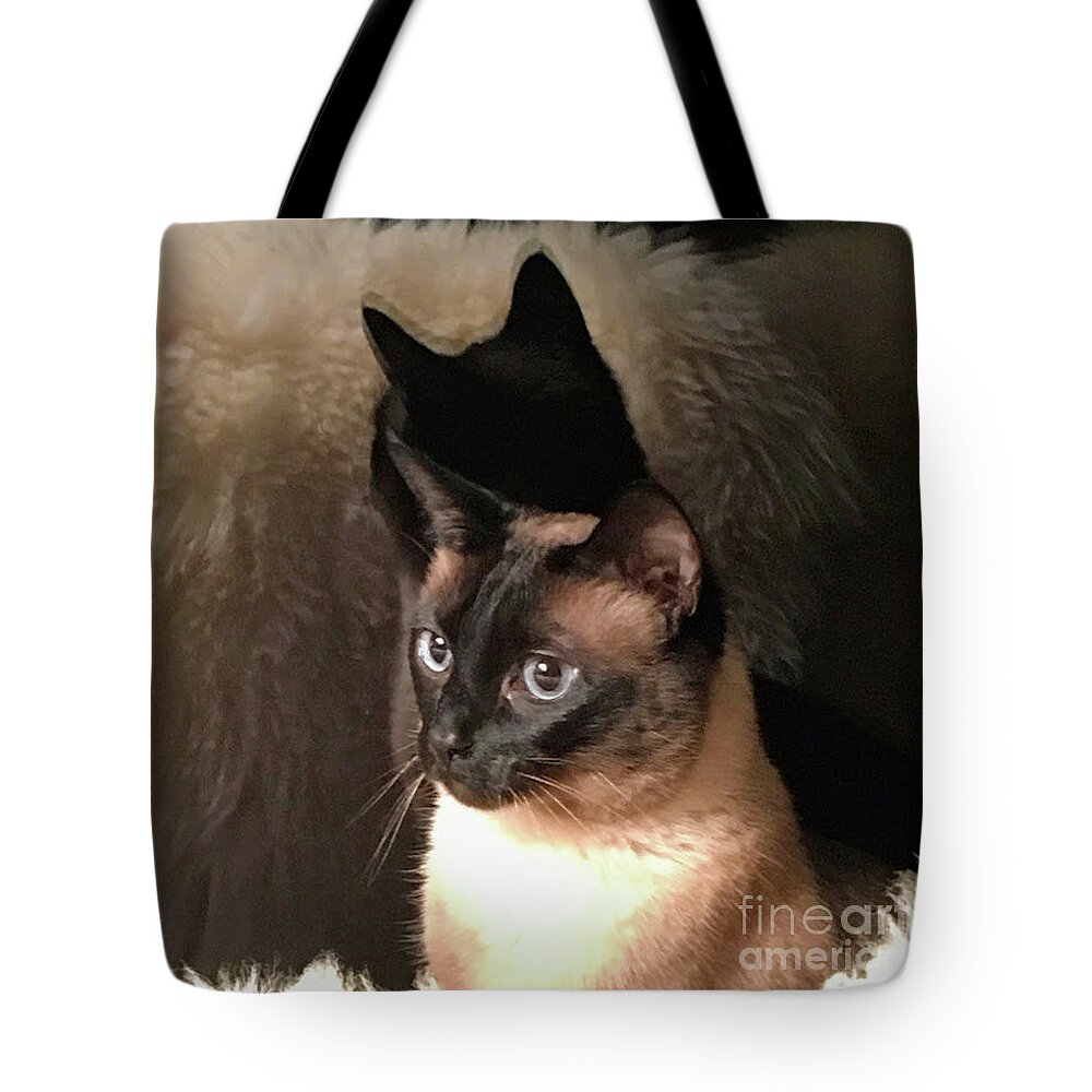 Cat Tote Bag featuring the photograph My Shadow Twin by Carol Eliassen