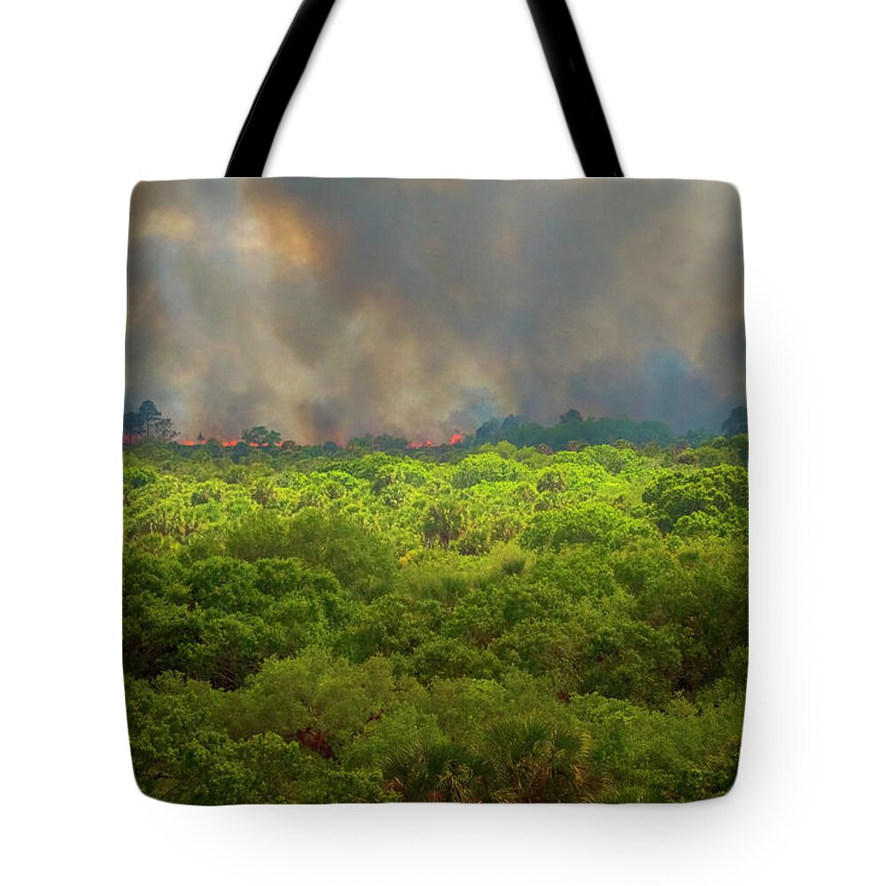 North Port Florida Tote Bag featuring the photograph Myakka River Burn by Tom Singleton