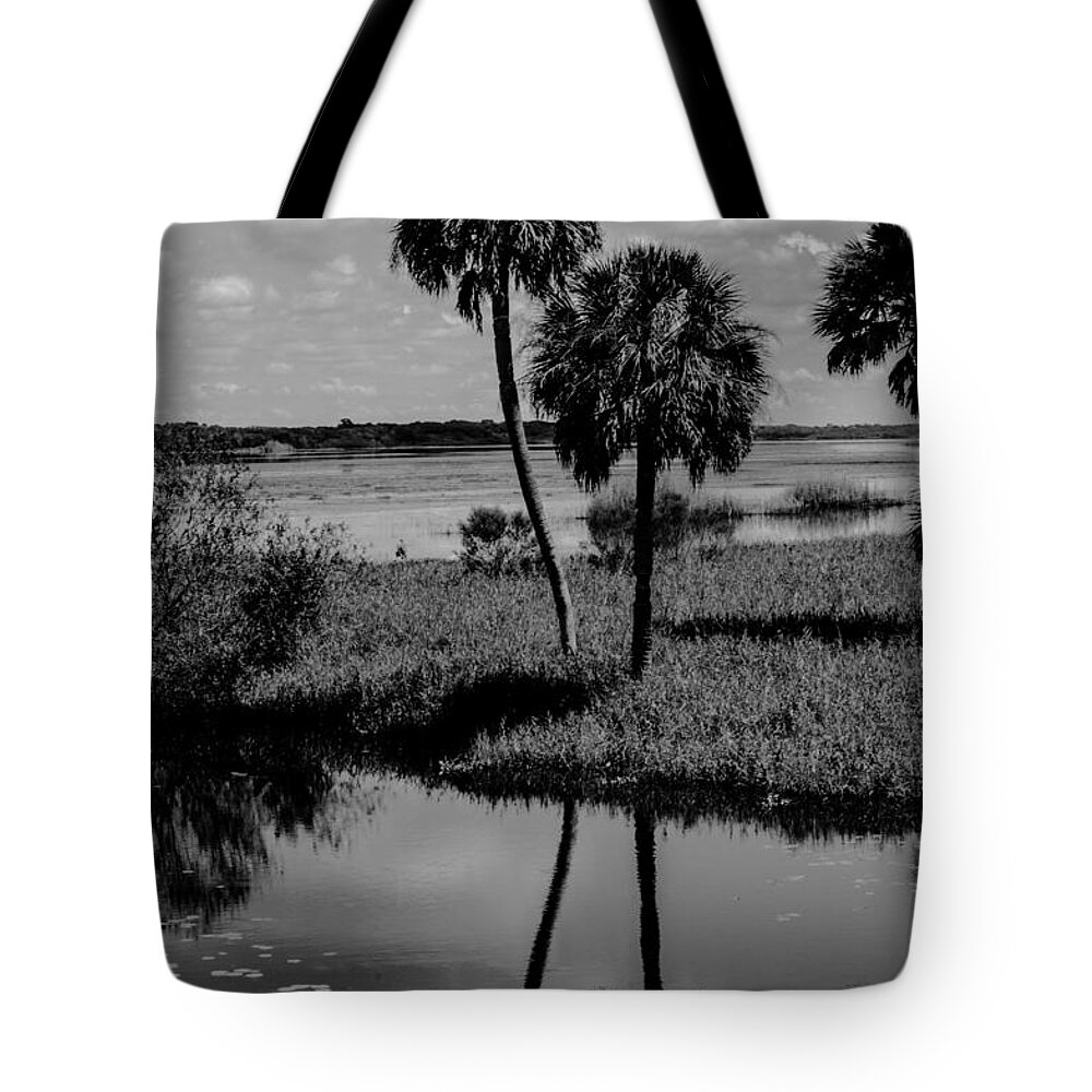  Tote Bag featuring the photograph Myakka River Reflections by Susan Molnar