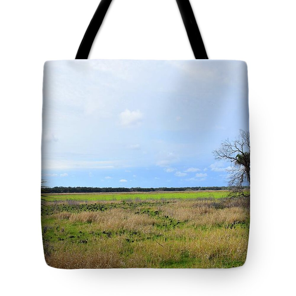 Florida Tote Bag featuring the photograph Myakka Wetlands by Florene Welebny
