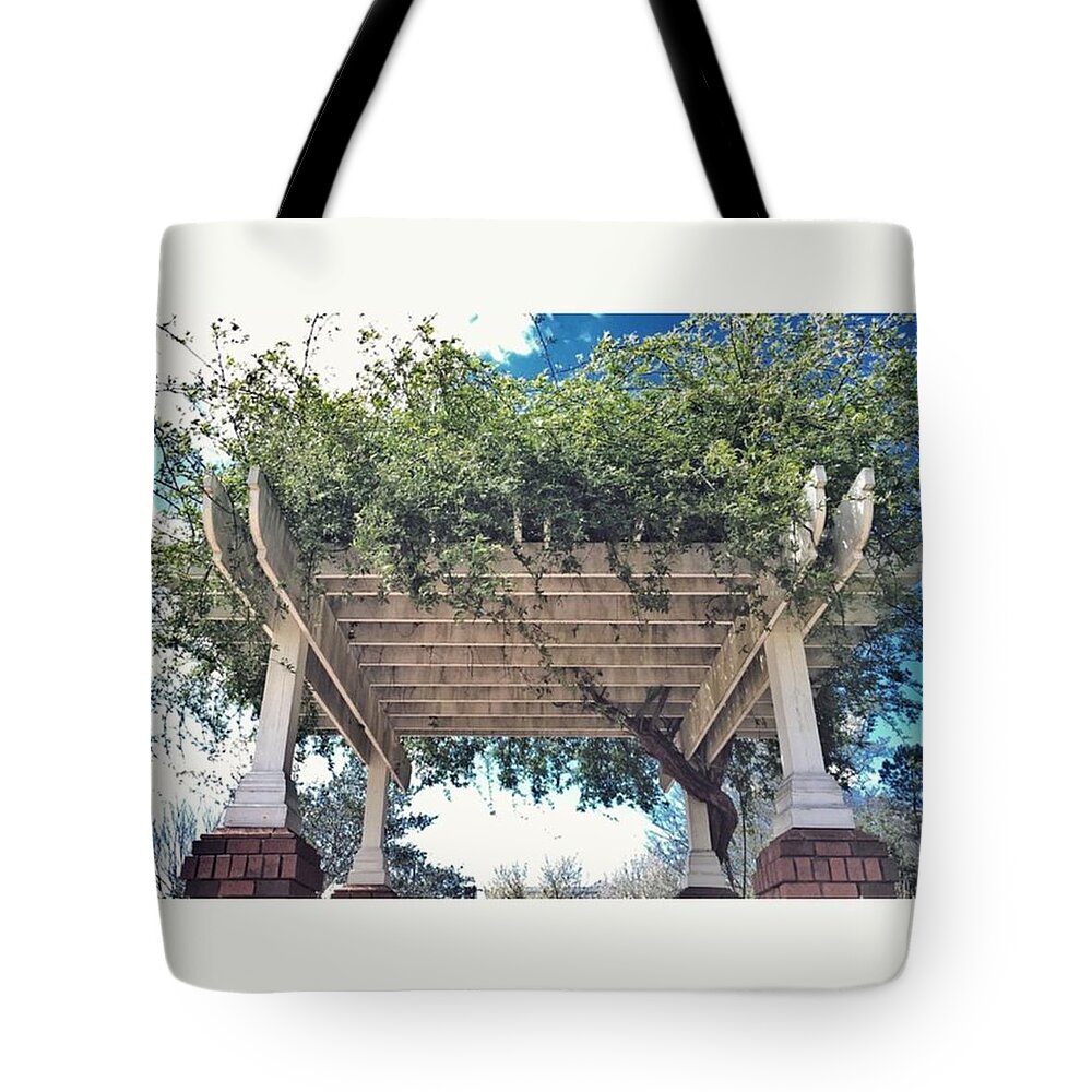 Athens Tote Bag featuring the photograph Cover by Matt Urich