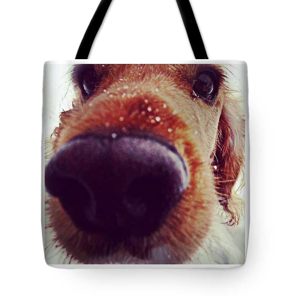 Mylove Tote Bag featuring the photograph #mylove #dog by Skulova Katka