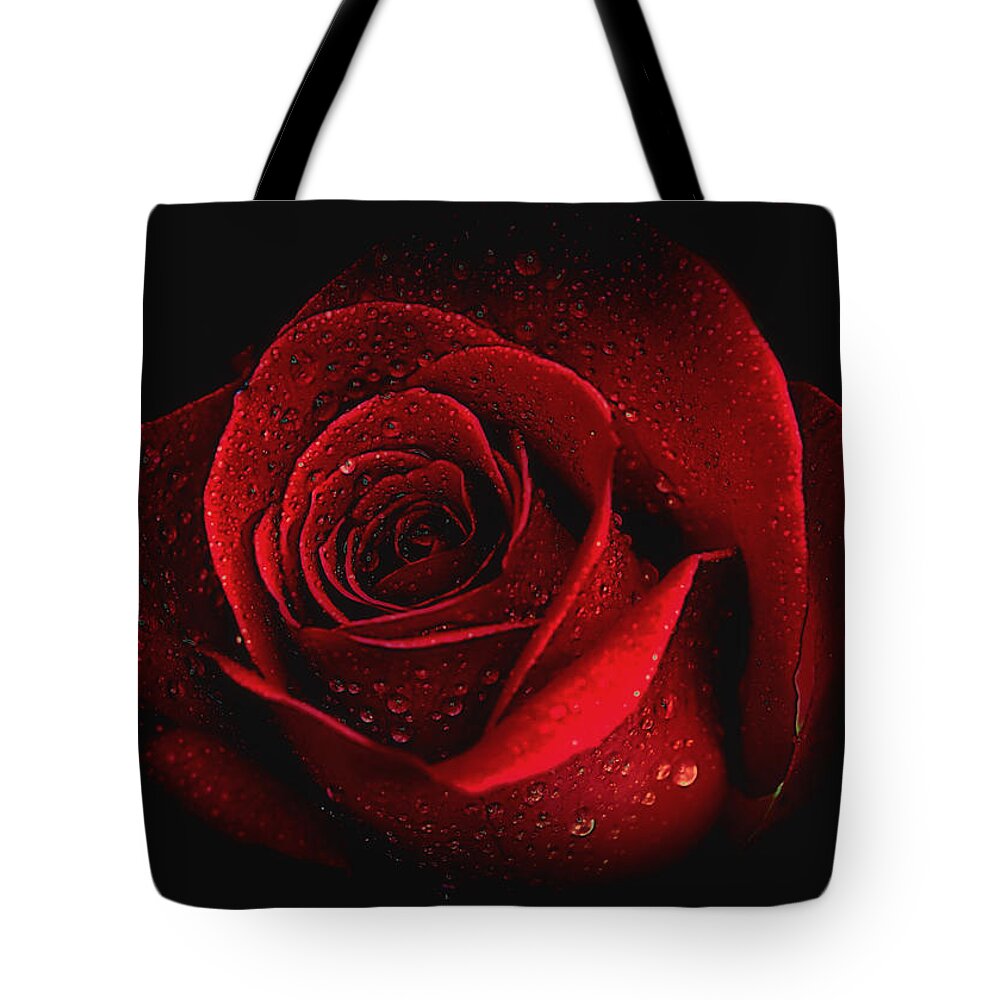 Roses Tote Bag featuring the photograph Mysterious by Elaine Malott