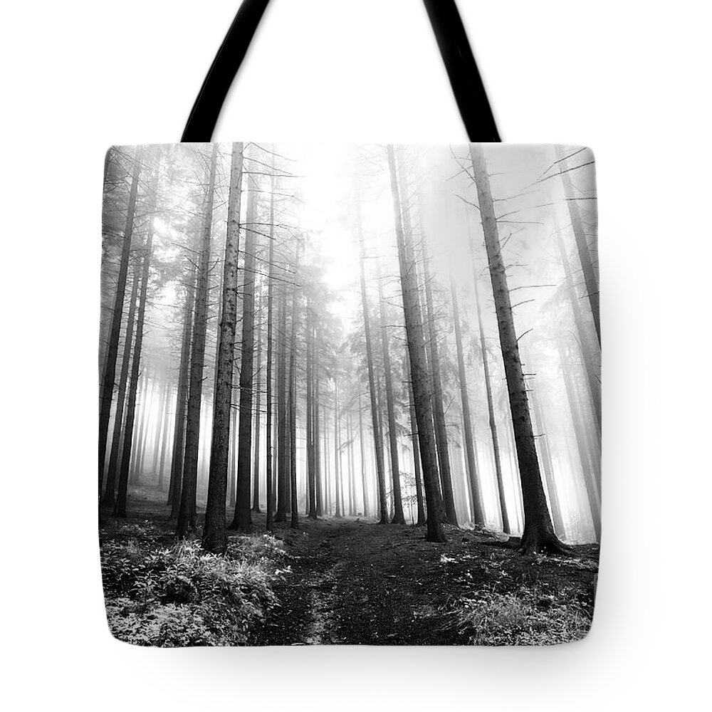 Bleak Tote Bag featuring the photograph Mysterious Forest by Michal Boubin