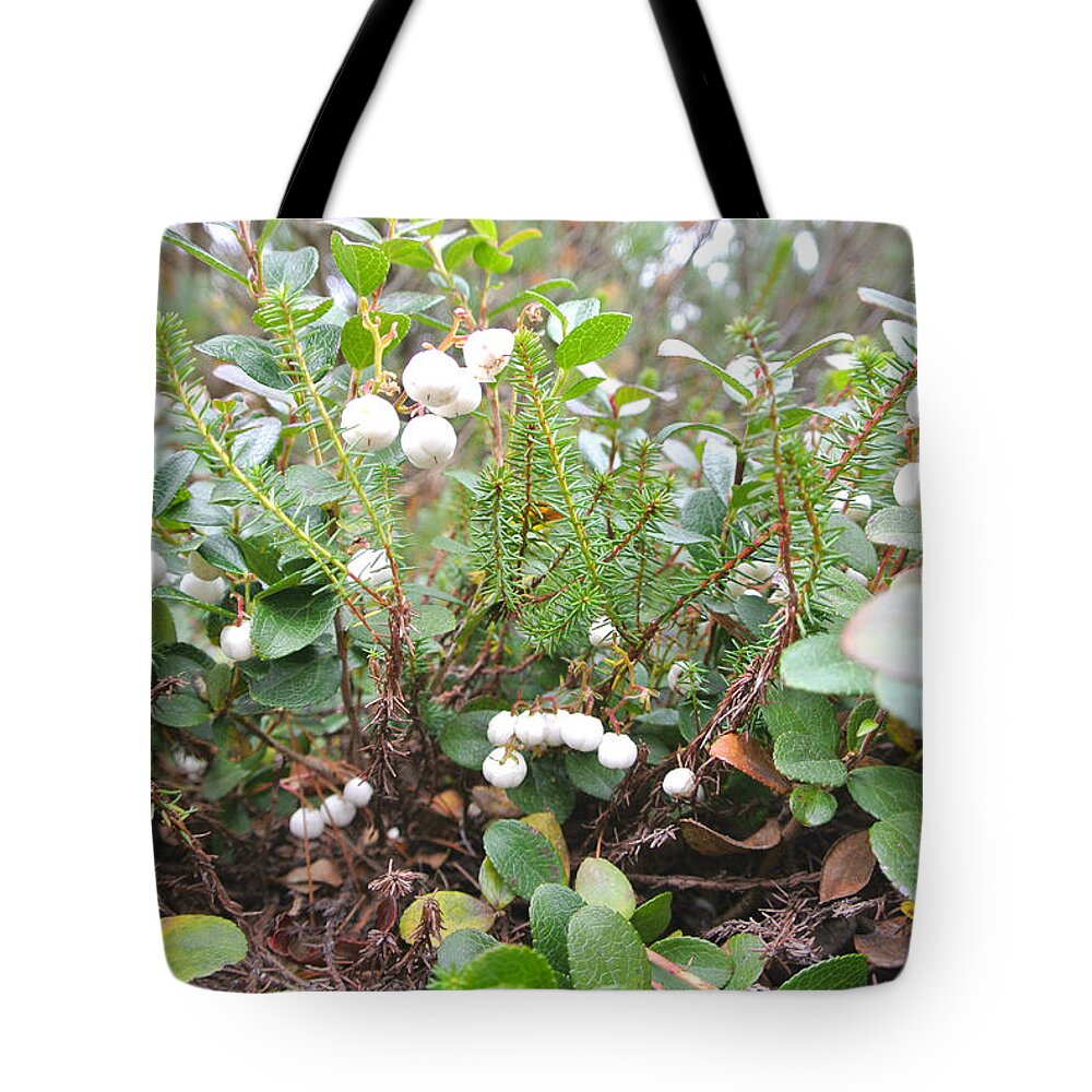 Mysterious Tote Bag featuring the photograph Mysterious Plants - Winter Telling by Hon-yax Multiply LLC