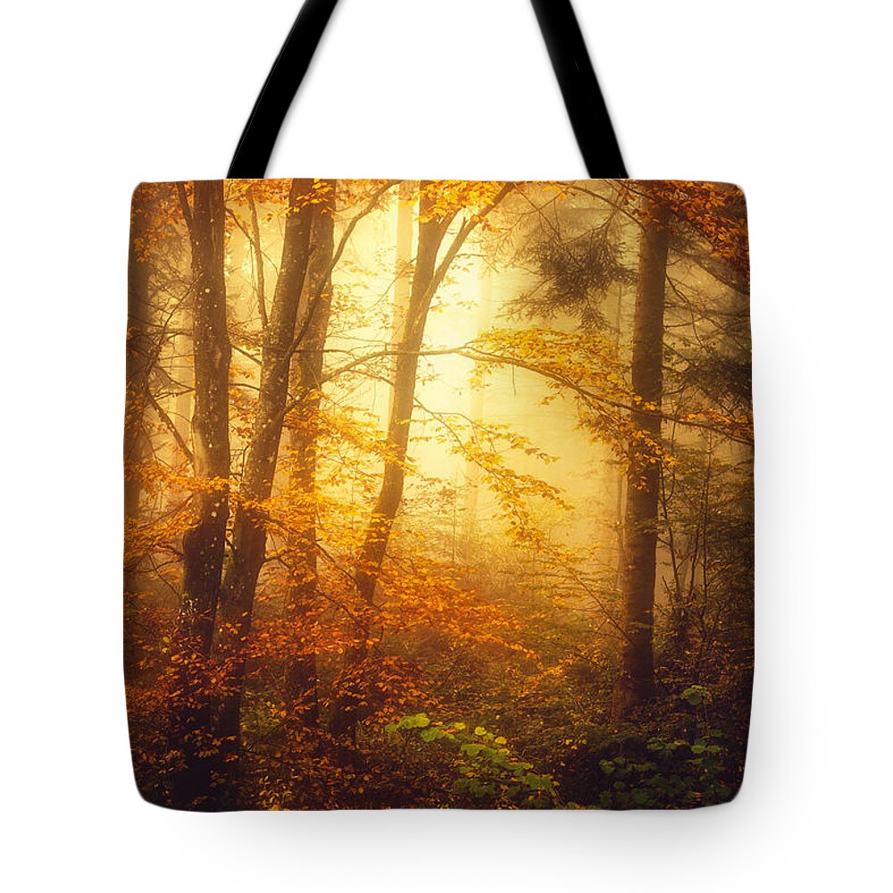 Forest Tote Bag featuring the photograph Mystic Fog by Philippe Sainte-Laudy