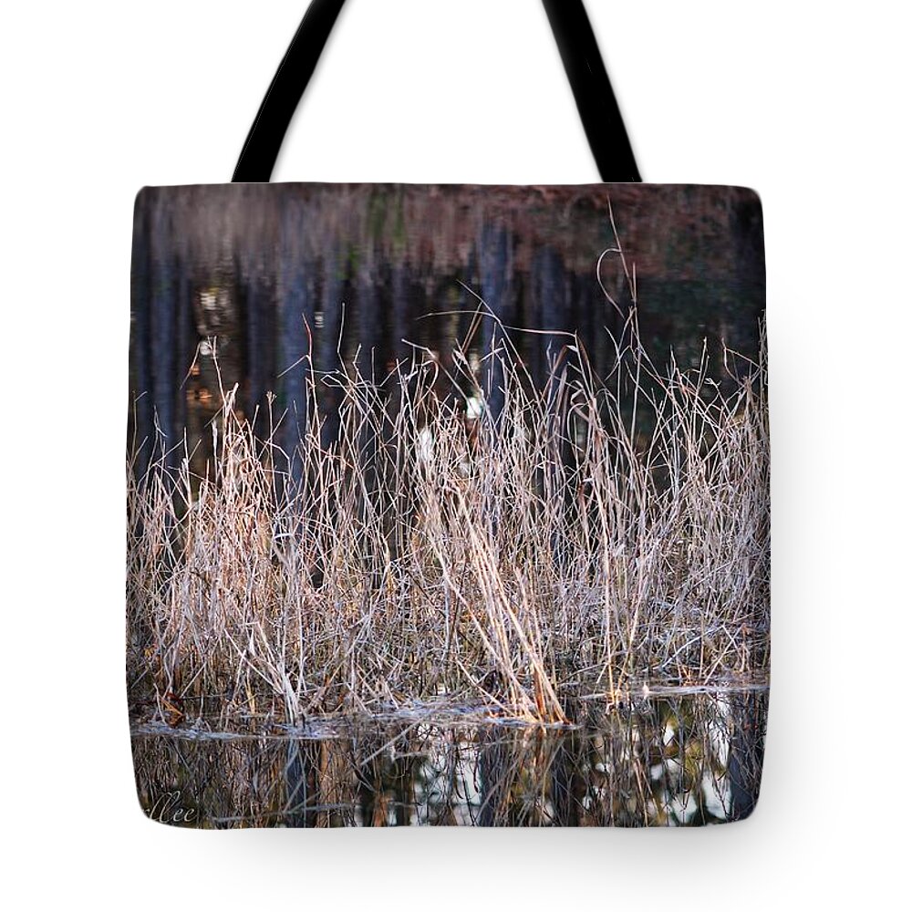  Tote Bag featuring the photograph Mystic Marsh by Elizabeth Harllee