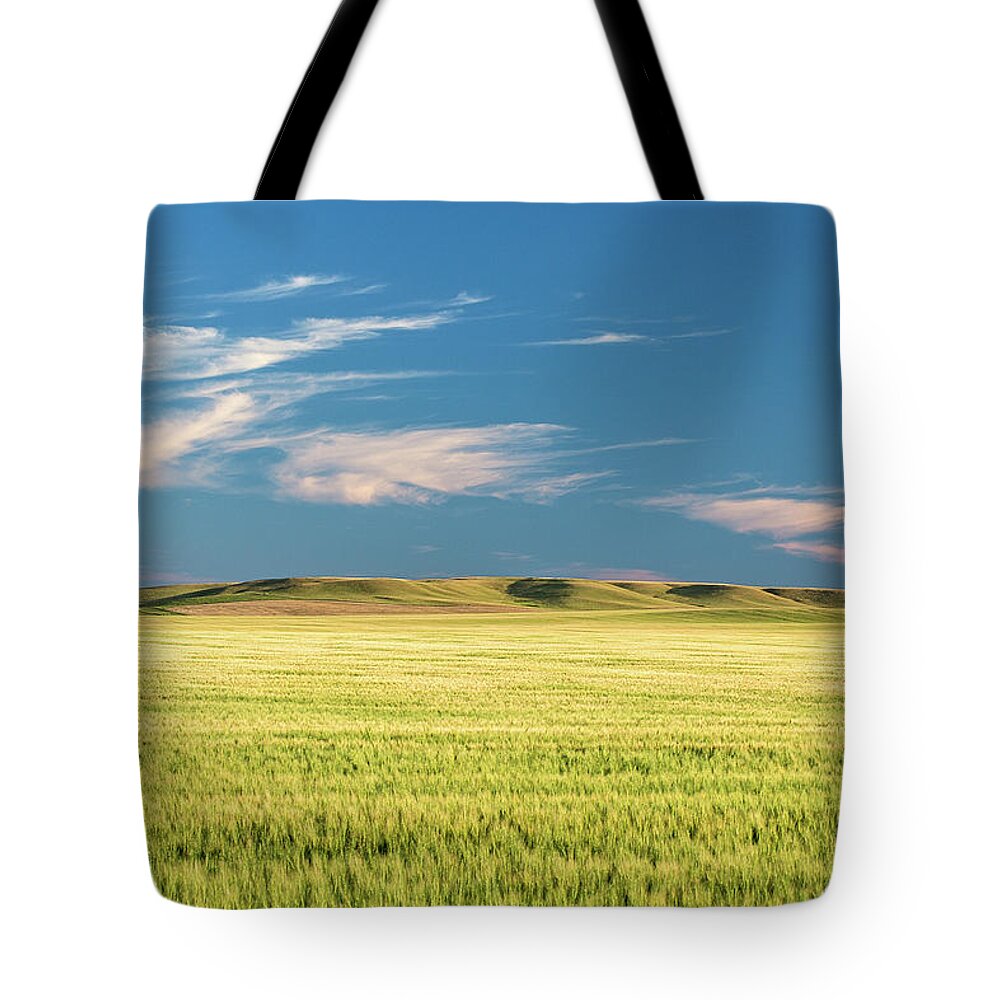 Prairie Tote Bag featuring the photograph Mystical Field by Todd Klassy
