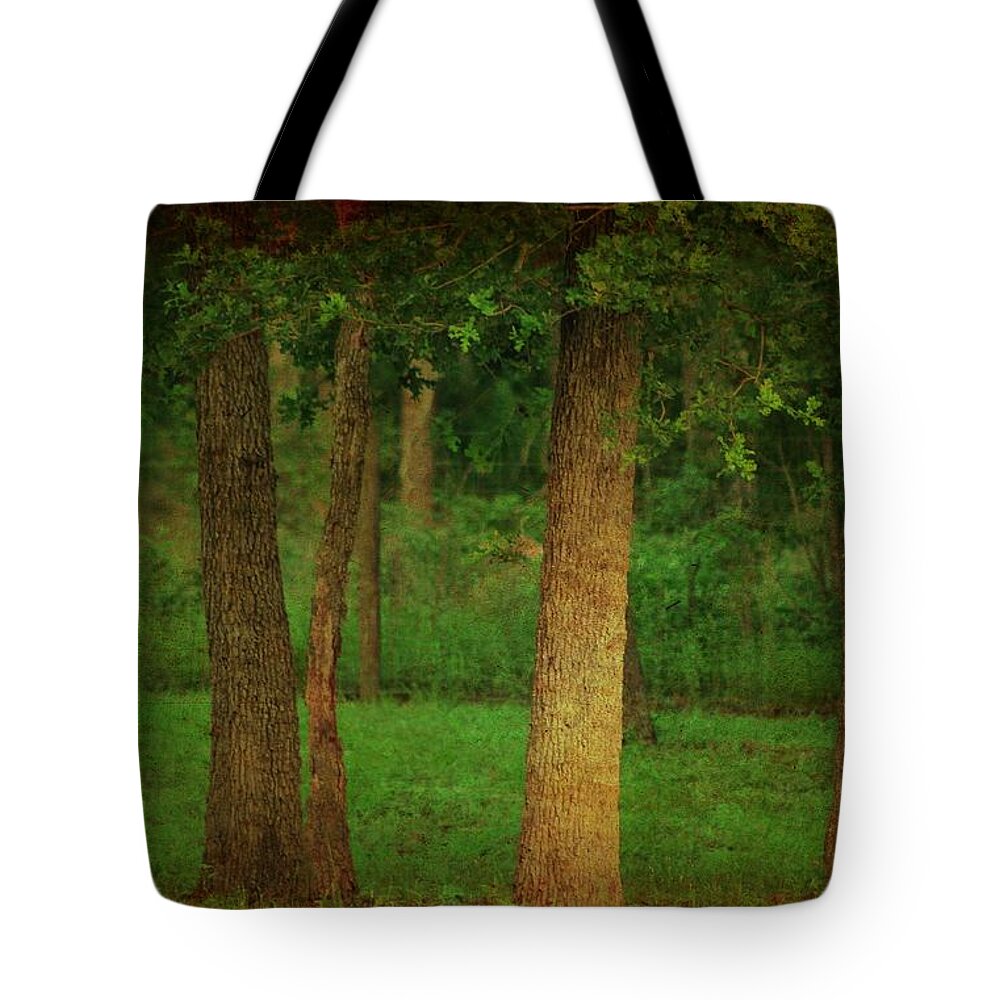 Forest Tote Bag featuring the photograph Mystical Forest by Beth Wiseman