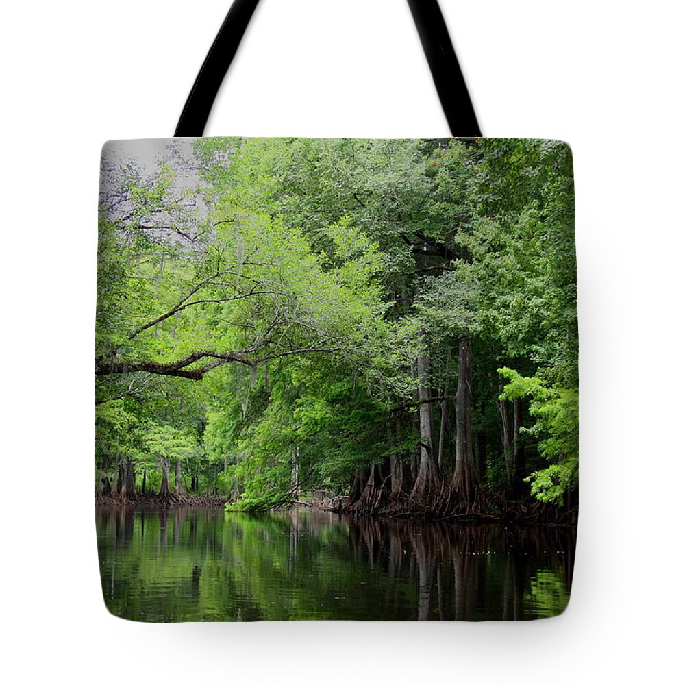 Withlacoochee River Tote Bag featuring the photograph Mystical Withlacoochee River by Barbara Bowen