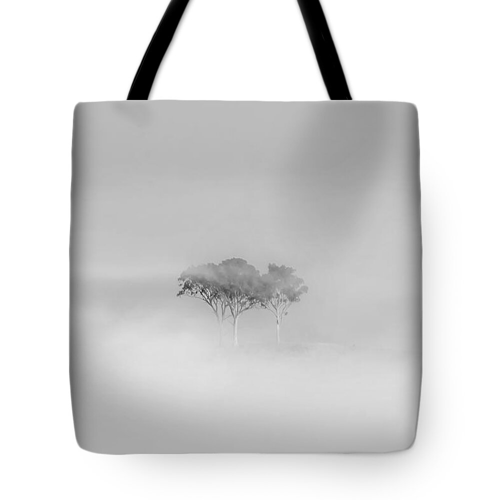Black And White Tote Bag featuring the photograph Mystique by Az Jackson