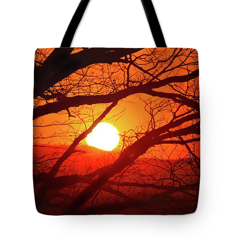 Surreal Tote Bag featuring the photograph Naked Tree at Sunset, Smith Mountain Lake, Va. by The James Roney Collection
