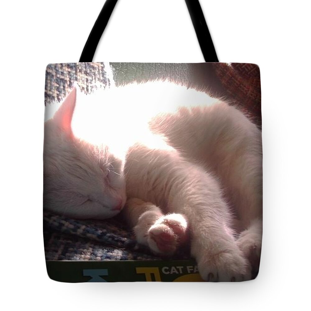 Cat Tote Bag featuring the photograph Nap Time by Denise F Fulmer
