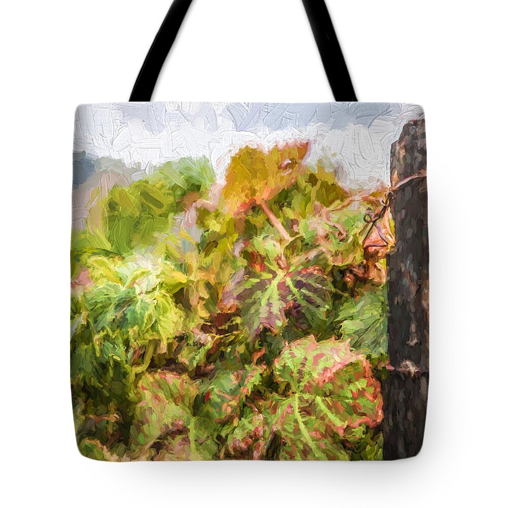 David Letts Tote Bag featuring the painting Napa Vineyard by David Letts