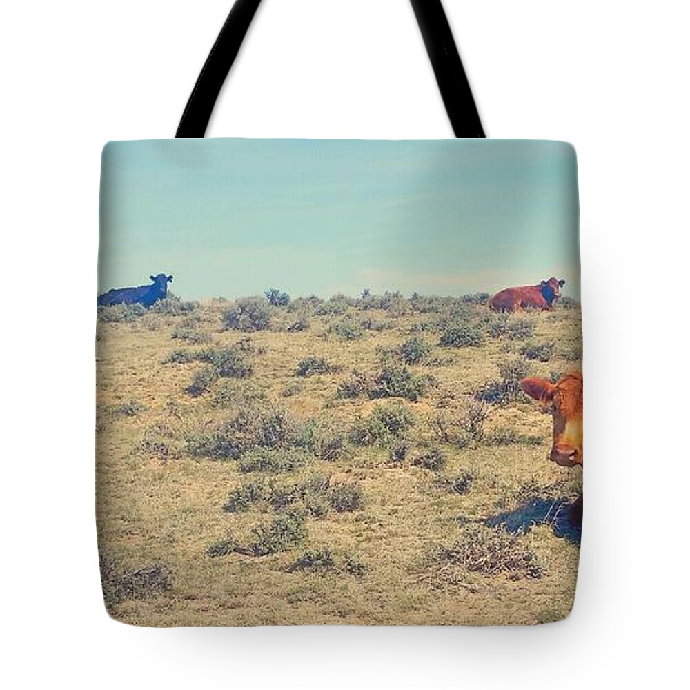 Cattle Tote Bag featuring the photograph Naptime in April by Amanda Smith