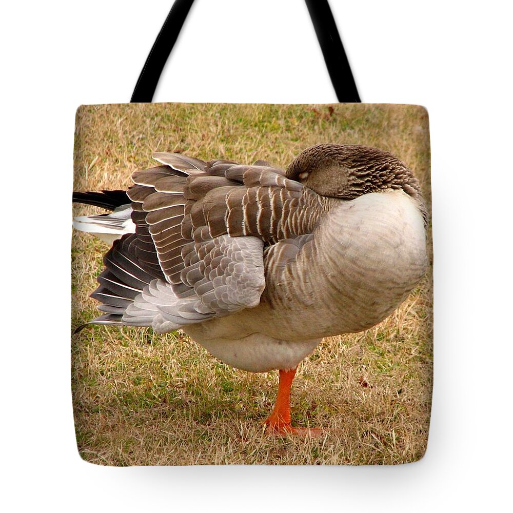 Goose Tote Bag featuring the photograph Naptime by J M Farris Photography