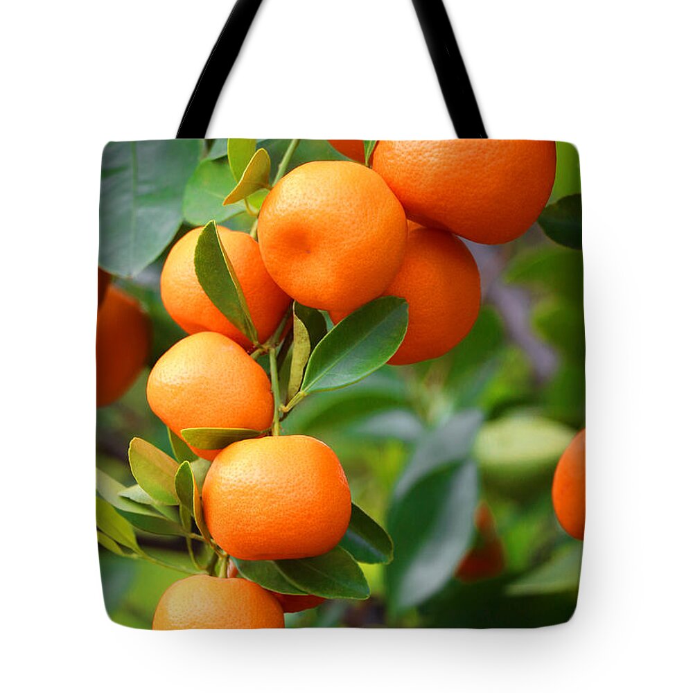 Mandarin Orange Tote Bag featuring the photograph Naranjita by Iryna Goodall