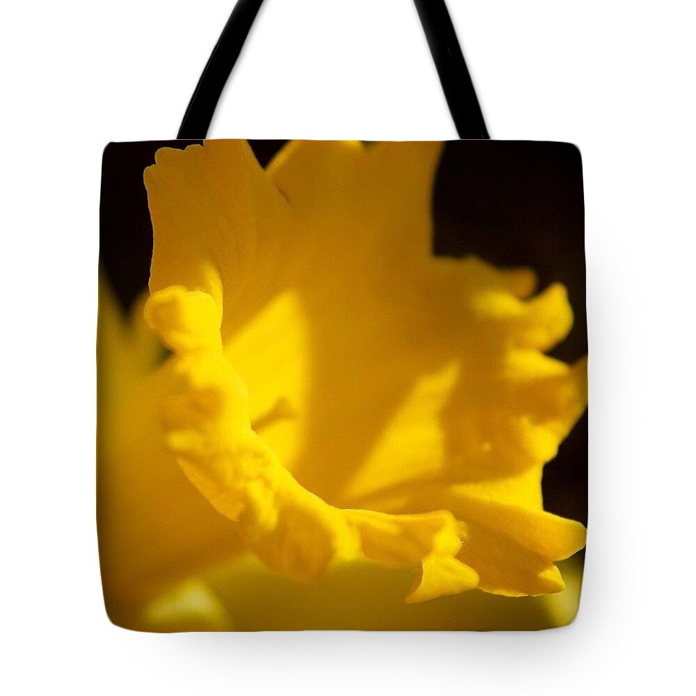 Flower Tote Bag featuring the photograph Narcissus 1 by Justin Connor