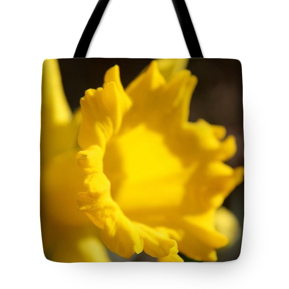 Flower Tote Bag featuring the photograph Narcissus 2 by Justin Connor