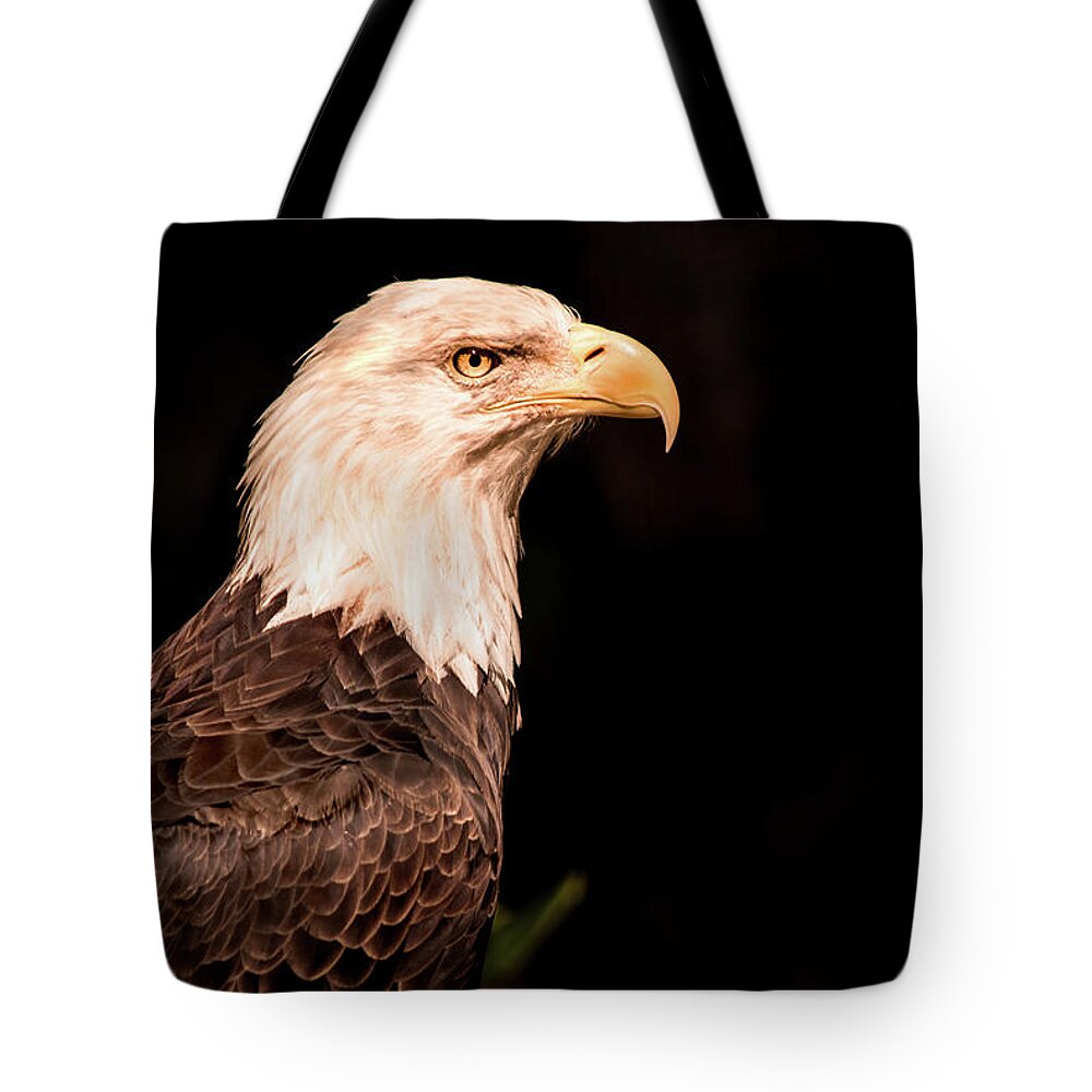 Bird Tote Bag featuring the photograph National Bird by Don Johnson