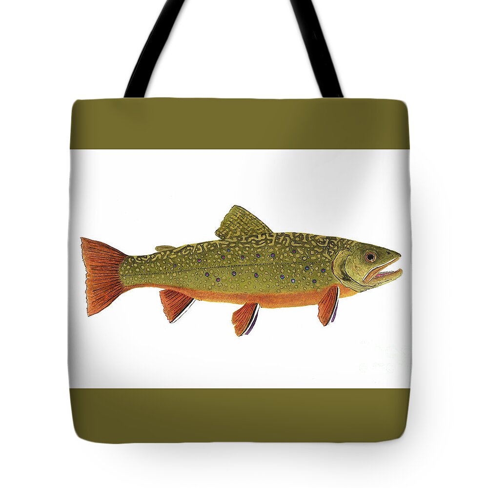Trout Salmon Fly Fish Fishing Brook Rainbow Cutthroat Thom Glace Bass Crappie Muskie Tote Bag featuring the painting Native Brook Trout by Thom Glace