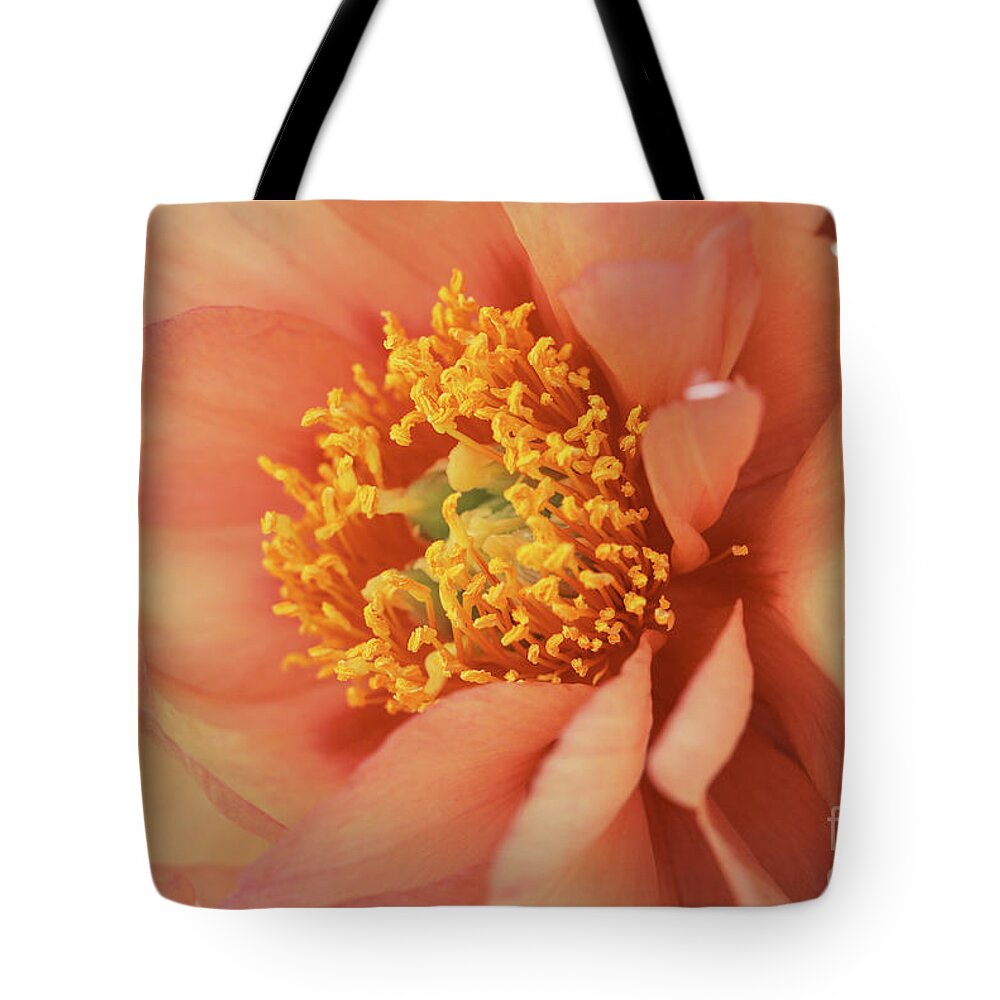 Natural Peach Beauty Tote Bag featuring the photograph Natural Peach Beauty by Rachel Cohen