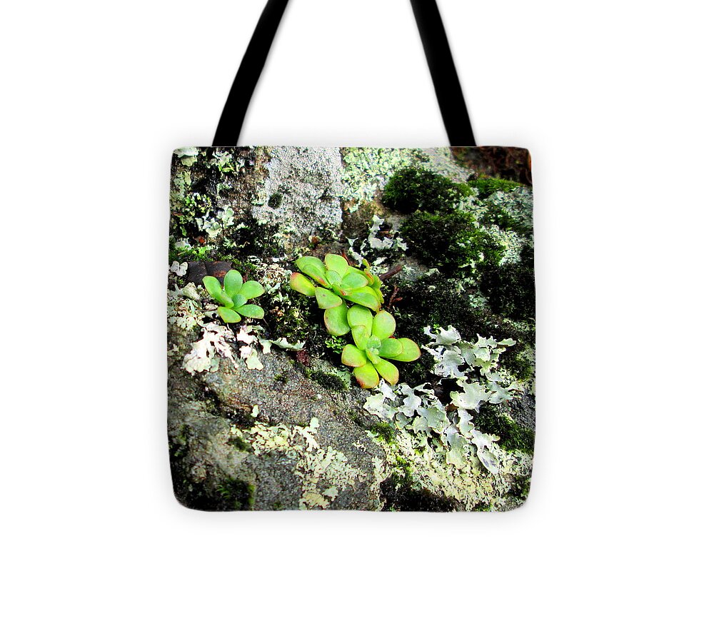 Lichen Tote Bag featuring the photograph Natural Still Life #3 by Larry Bacon