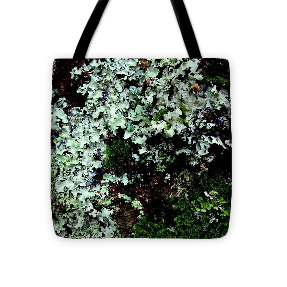 Lichen Tote Bag featuring the photograph Natural Still Life #6 by Larry Bacon
