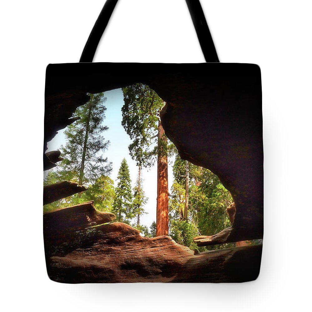 California Tote Bag featuring the photograph Natural Window by Andrea Platt