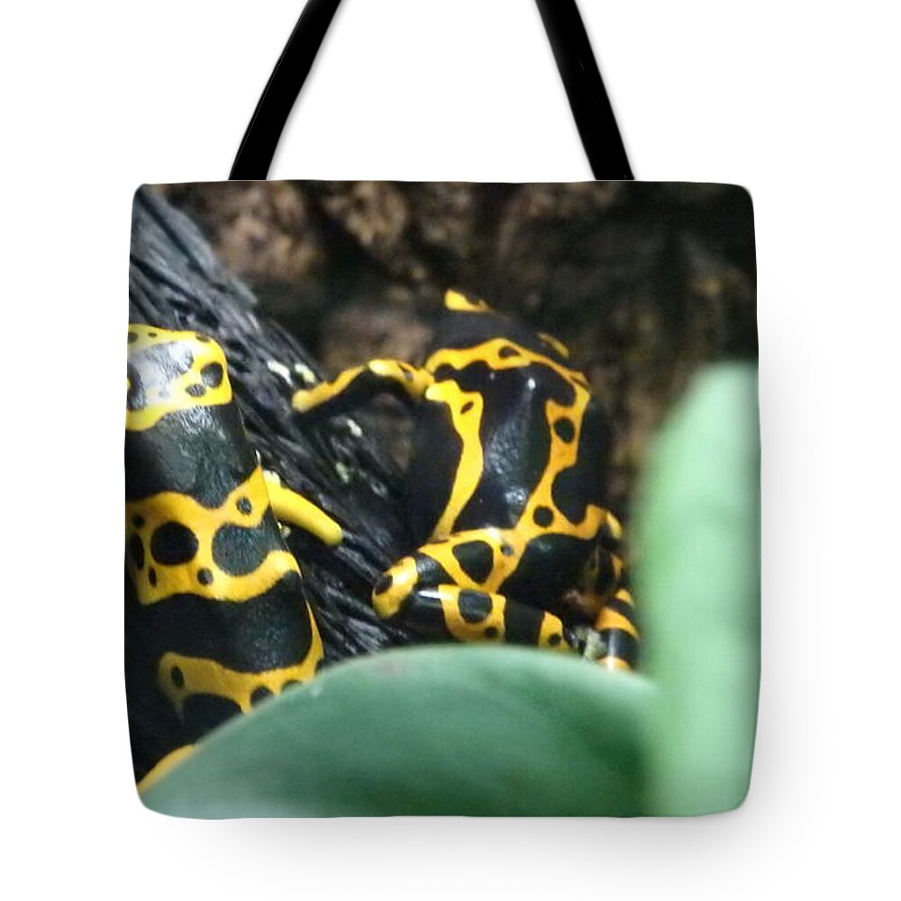 Frog Tote Bag featuring the photograph Nature by Ludek Kracl