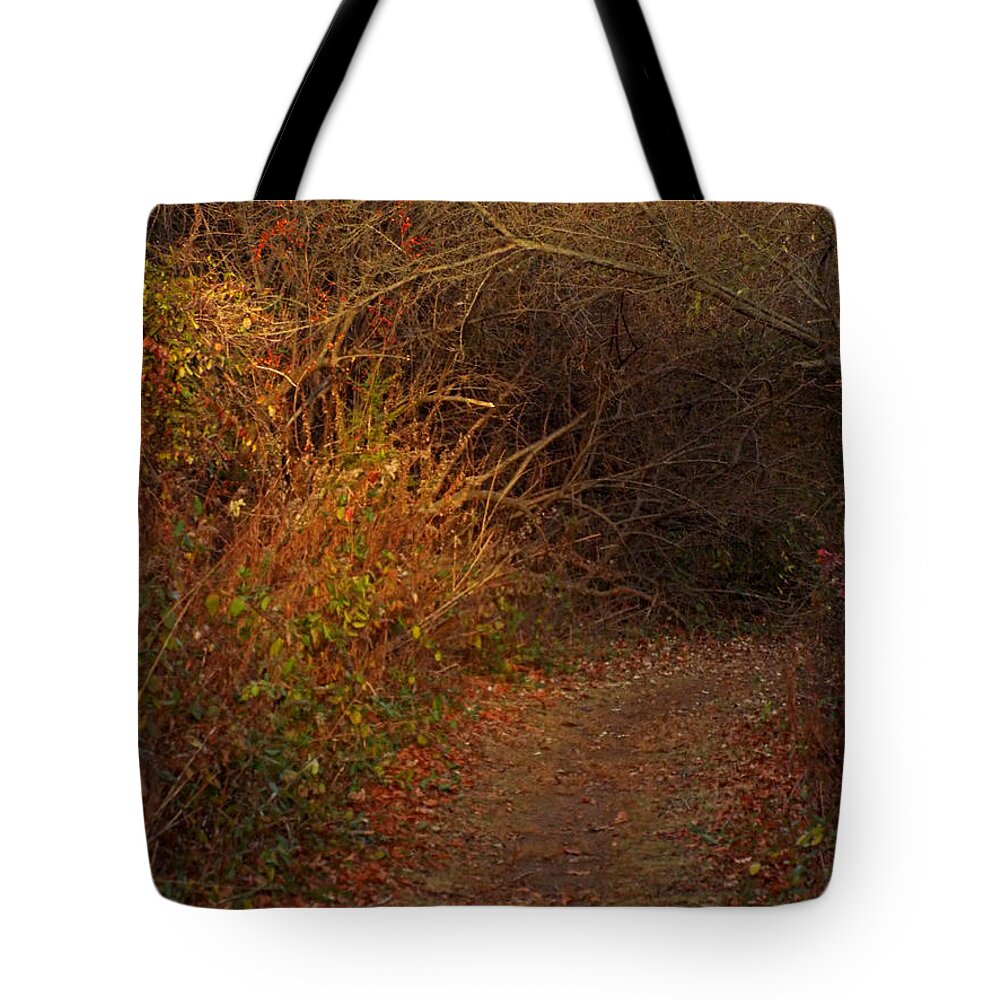  Tote Bag featuring the digital art Nature Trail 2 by Steve Breslow