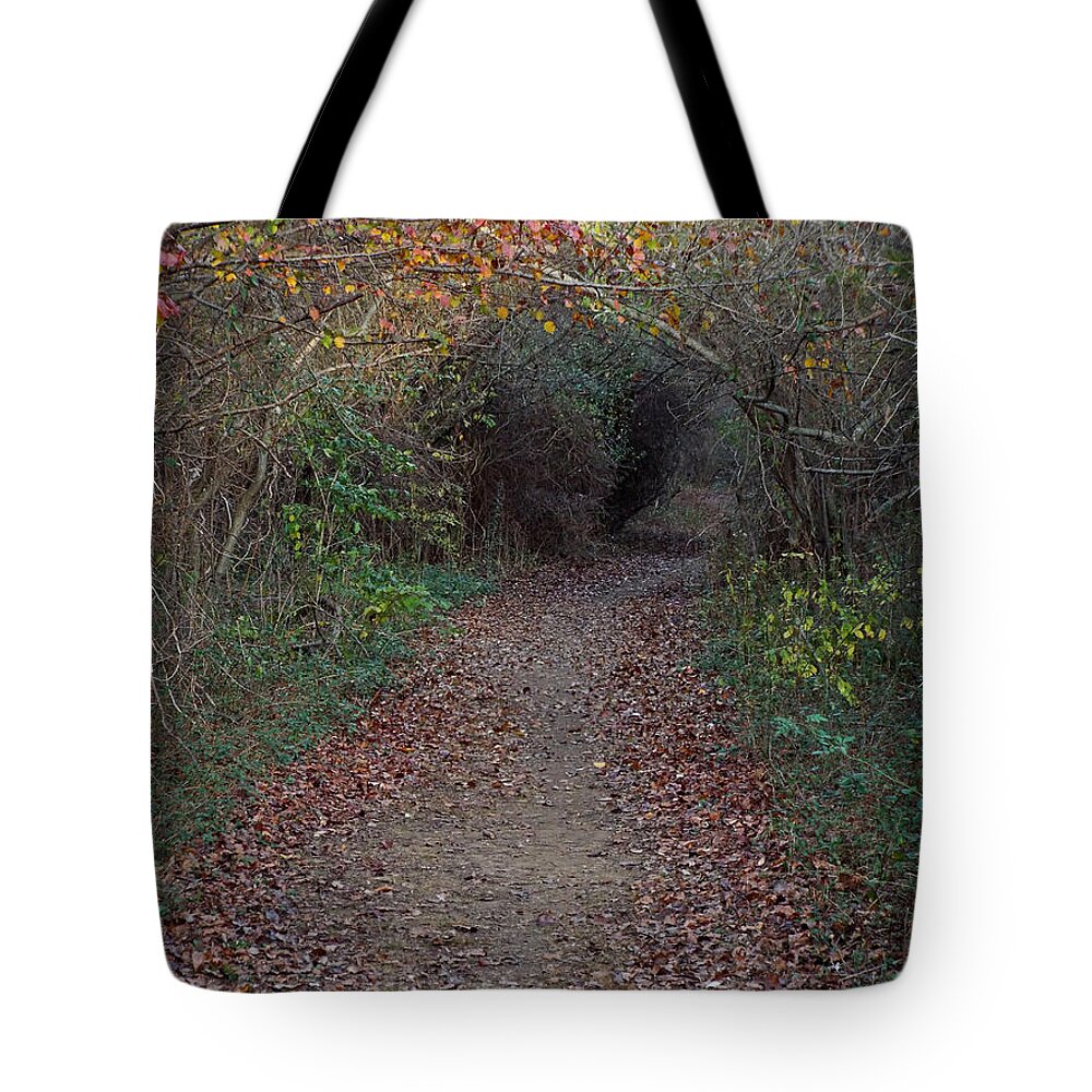  Tote Bag featuring the digital art Nature Trail 3 by Steve Breslow