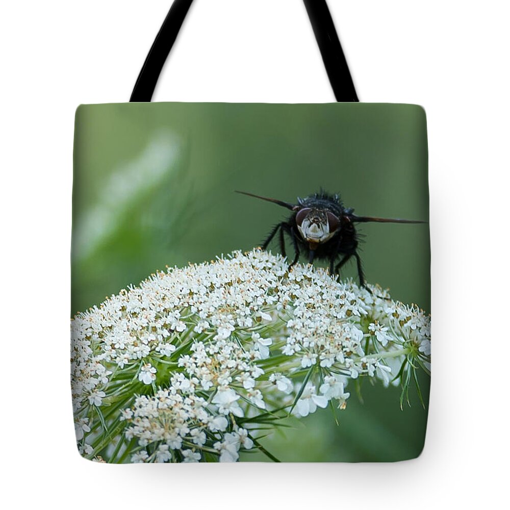 Plant Tote Bag featuring the photograph Nature Up Close by Holden The Moment