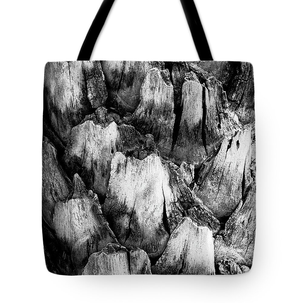 Black And White Tote Bag featuring the photograph Natures Abstract #1 by John Roach