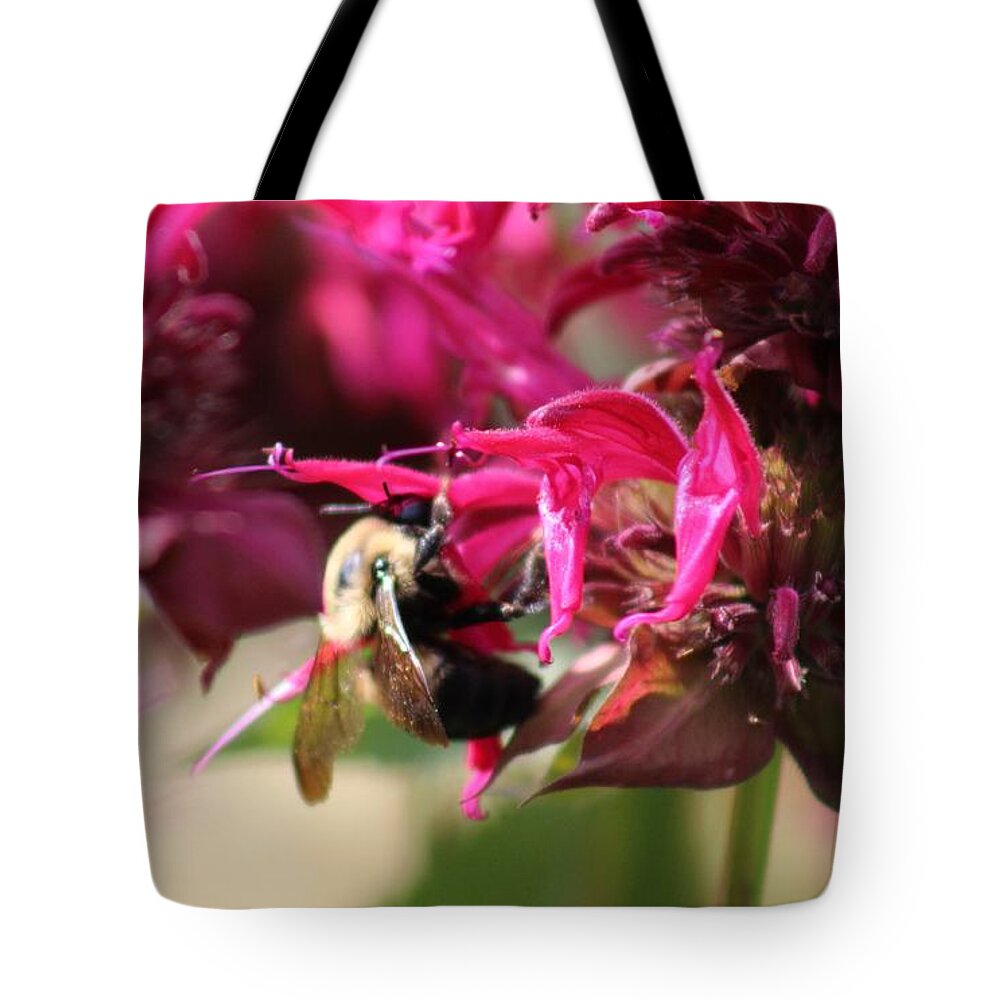 Pink Tote Bag featuring the photograph Nature's Beauty 100 by Deena Withycombe