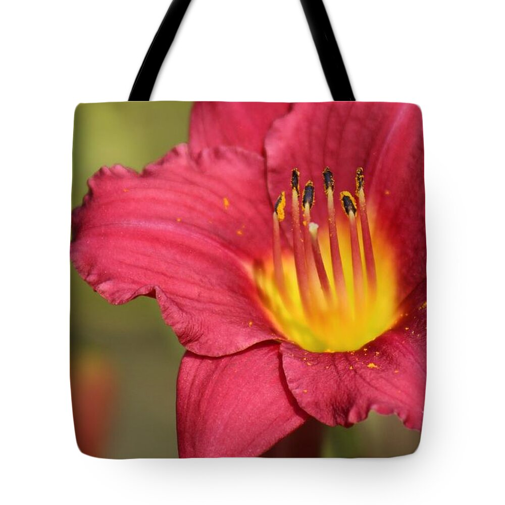 Pink Tote Bag featuring the photograph Nature's Beauty 121 by Deena Withycombe