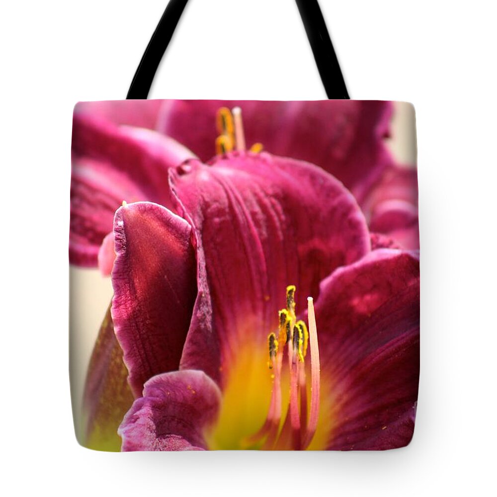 Pink Tote Bag featuring the photograph Nature's Beauty 122 by Deena Withycombe